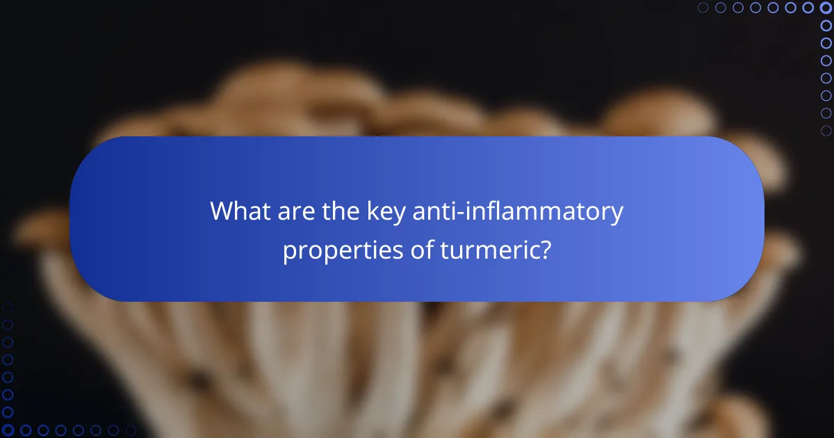 What are the key anti-inflammatory properties of turmeric?